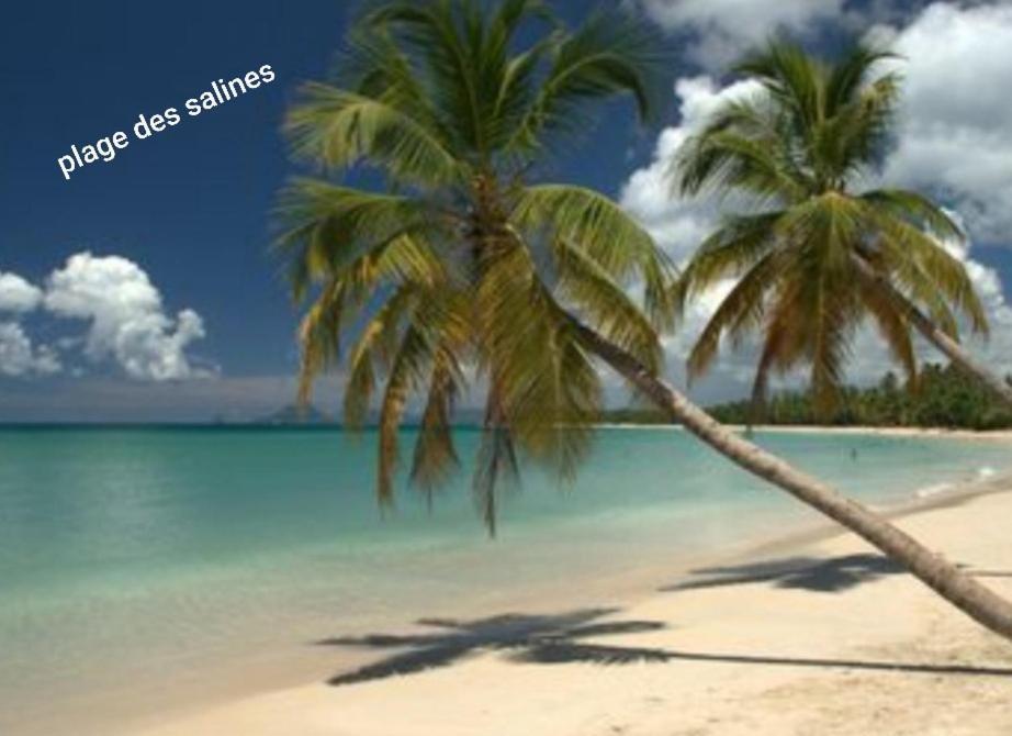 Appartement T2 Route Des Salines Sainte-Anne Exterior foto